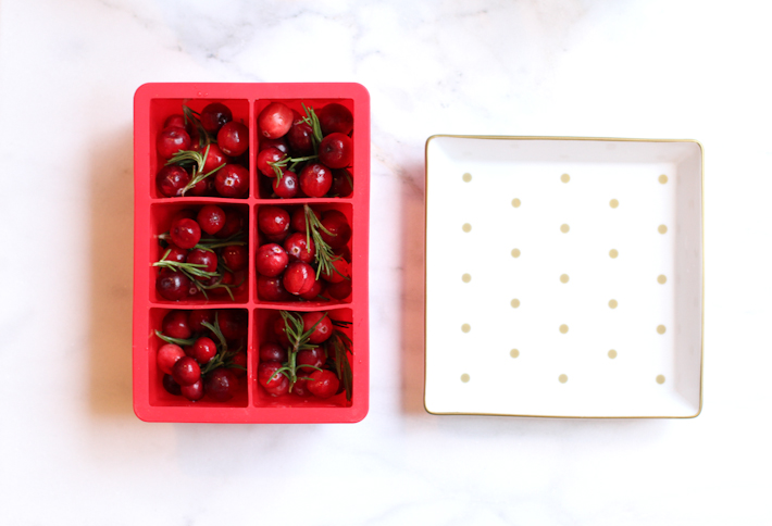 Easy Holiday Ice with rosemary and cranberries - DIY || joyfully so