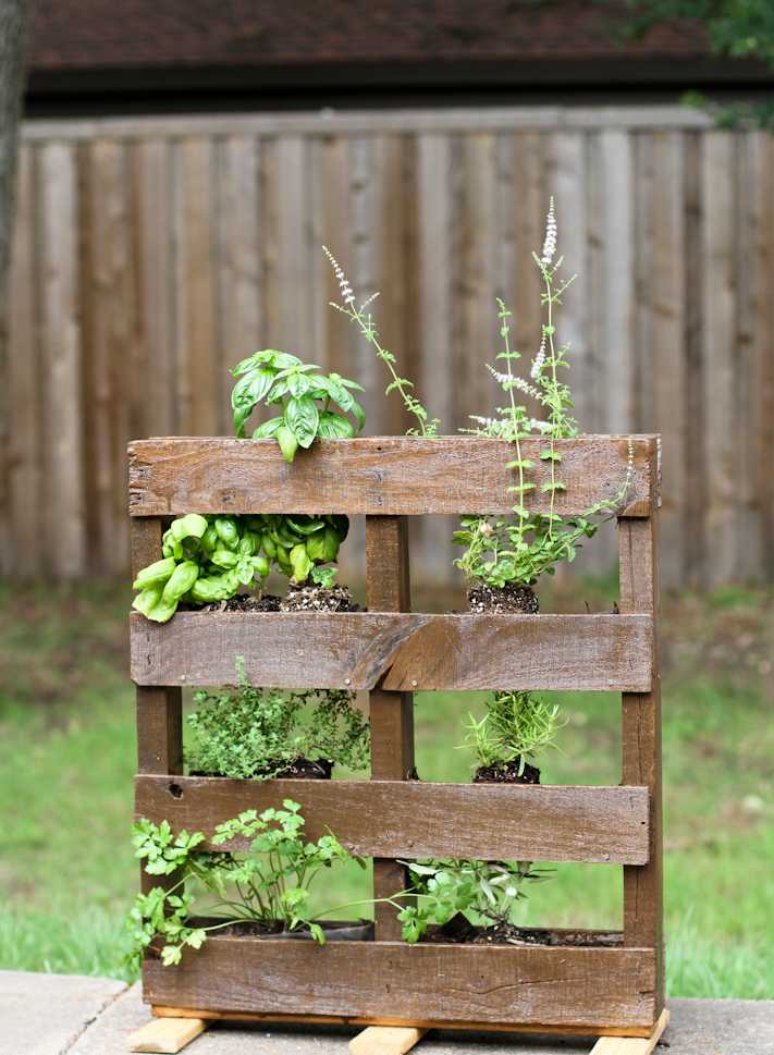 DIY Pallet Herb Garden joyfully so