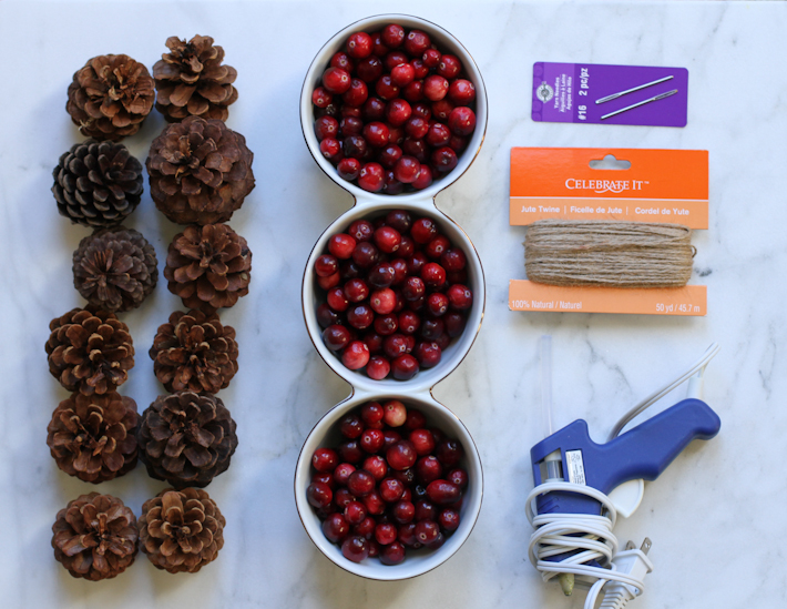 DIY Cranberry and Pine Cone Garland || Joyfully So