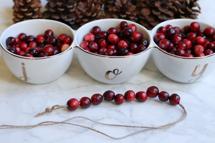 DIY Cranberry and Pine Cone Garland || Joyfully So