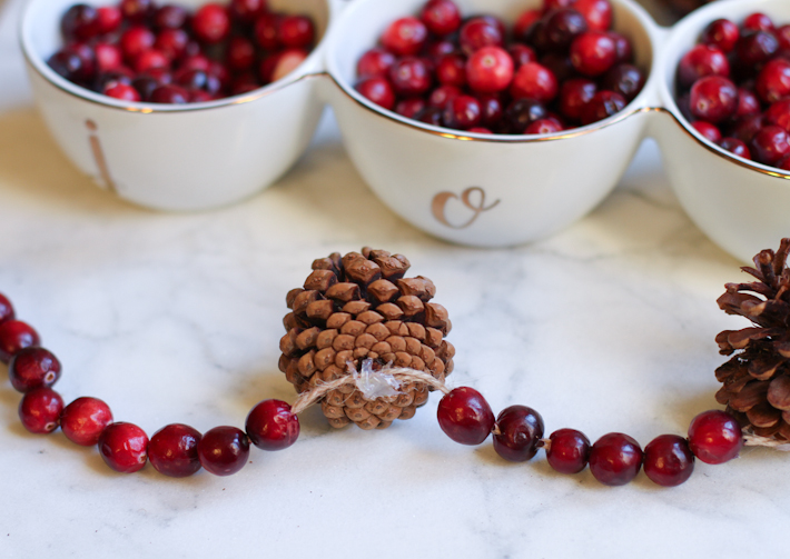 DIY Cranberry and Pine Cone Garland || Joyfully So