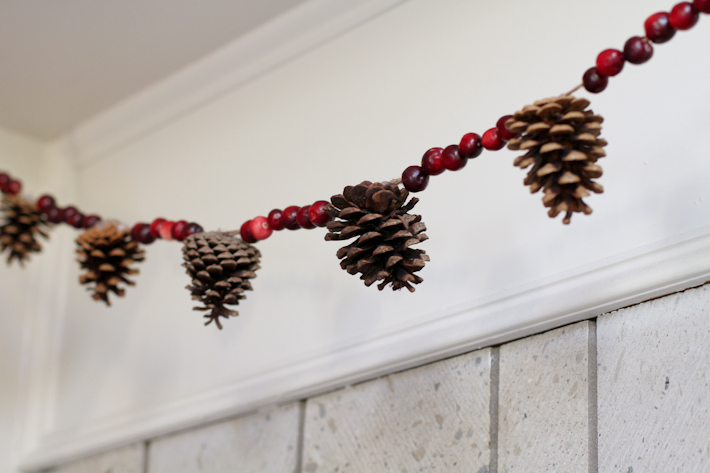 Cranberry and pine cone garland DIY || joyfully so