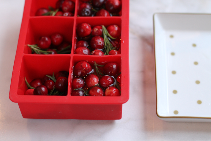 Easy Holiday Ice with rosemary and cranberries - DIY || joyfully so