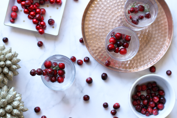 Easy Holiday Ice with rosemary and cranberries - DIY || joyfully so