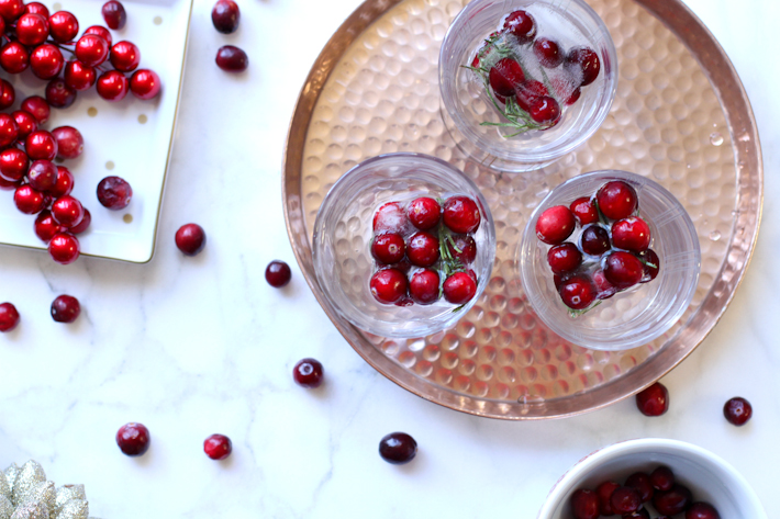Easy Holiday Ice with rosemary and cranberries - DIY || joyfully so