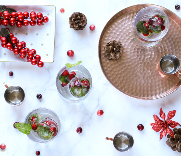 DIY holiday ice cubes || joyfully so