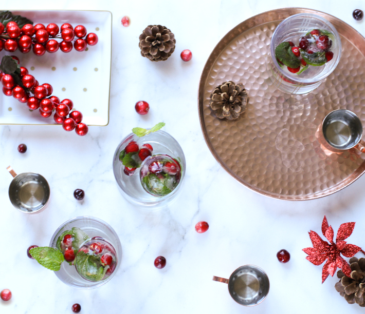 DIY holiday ice cubes || joyfully so