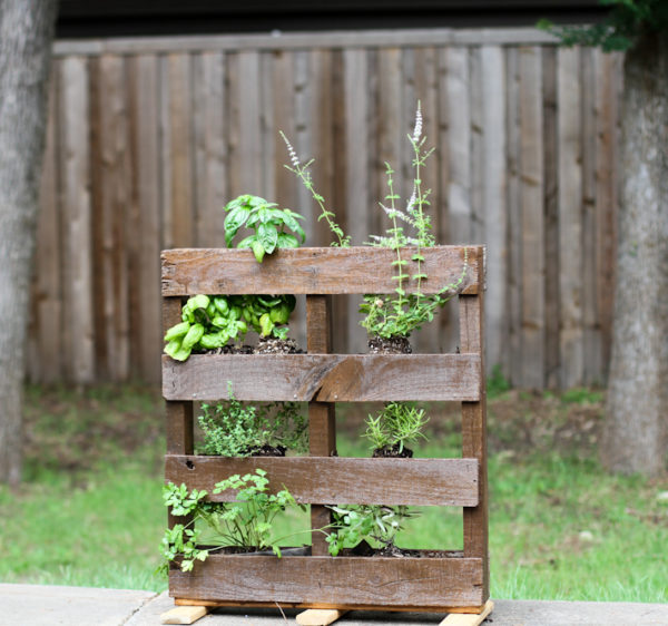 DIY Pallet Herb Garden - joyfully so