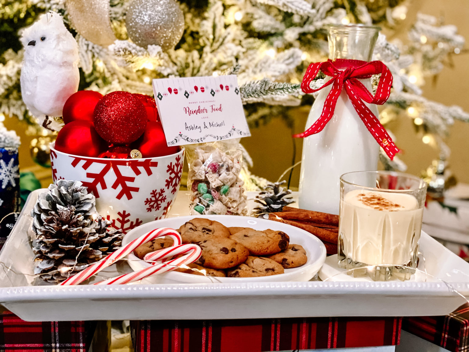 Milk and Cookies for Santa Cute Family Activity joyfully so
