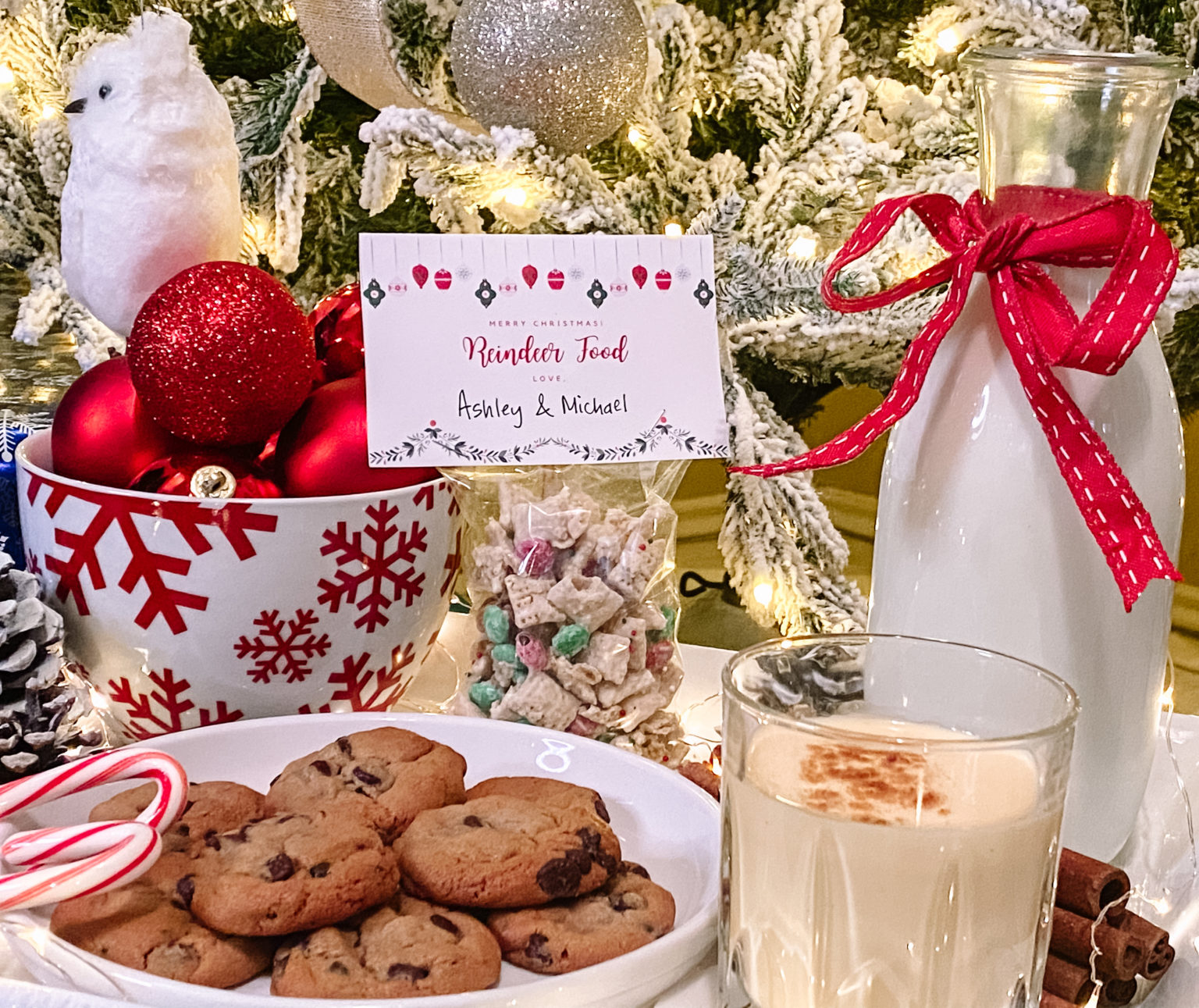 Milk and Cookies for Santa Cute Family Activity joyfully so