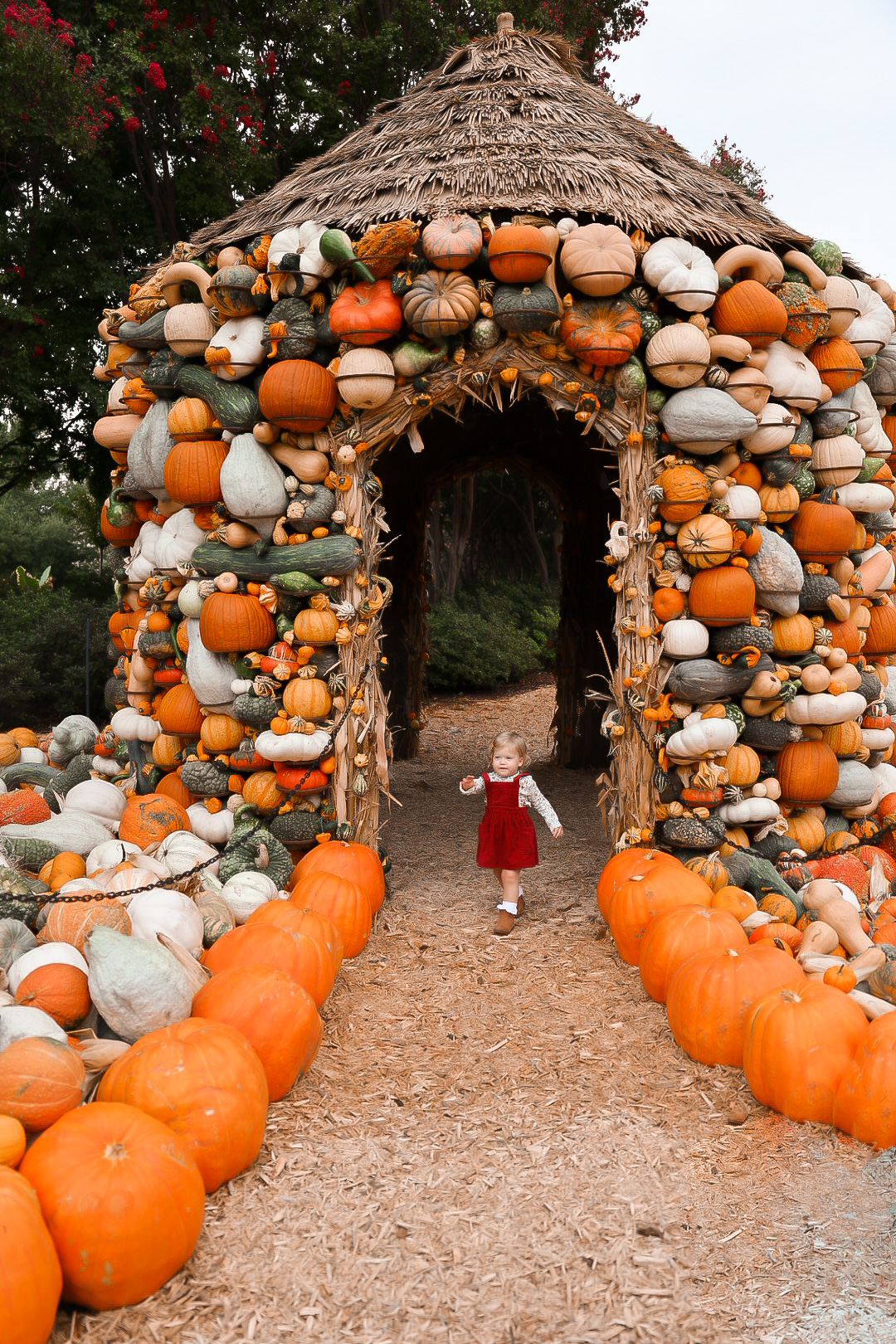 Dreamy Autumn Day | Colorful Fall Dress