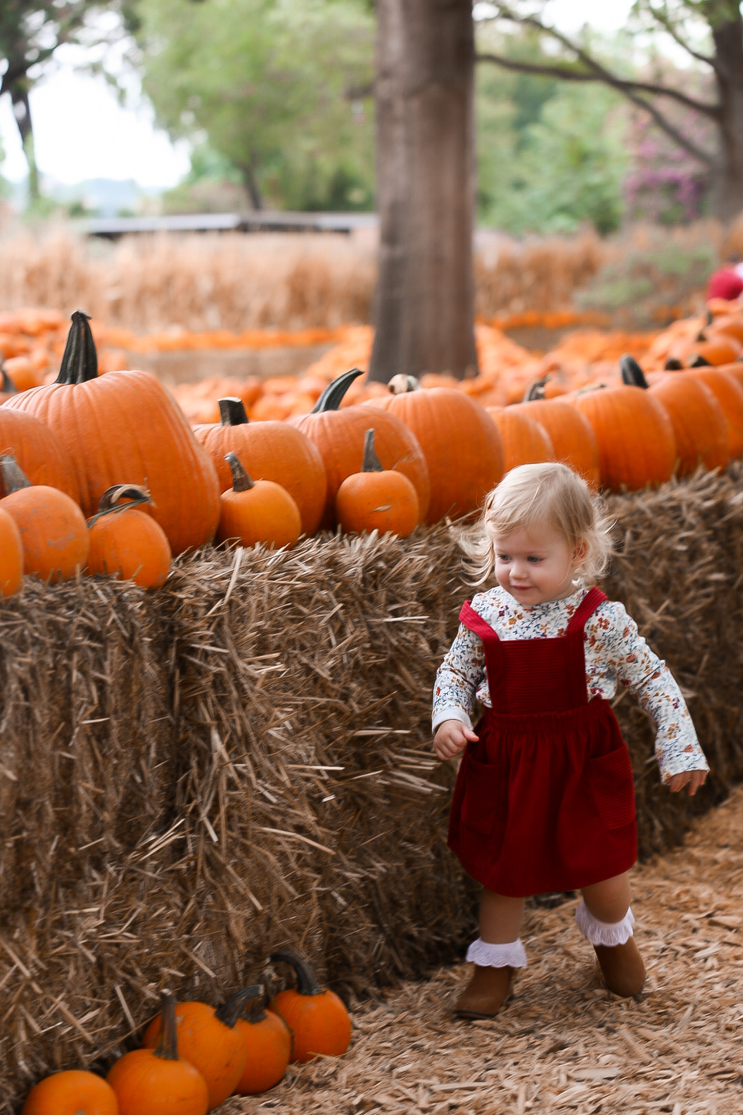 Dreamy Autumn Day | Toddler fall pumpkin patch