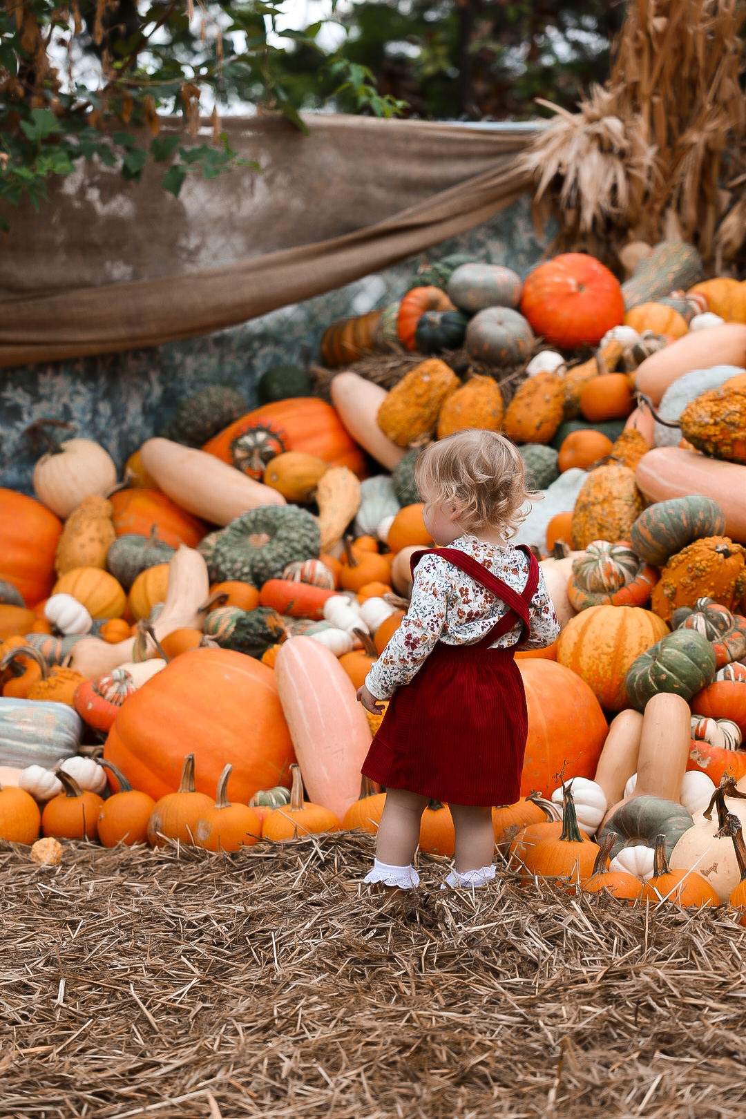 Toddler girl pumpkin patch outfit